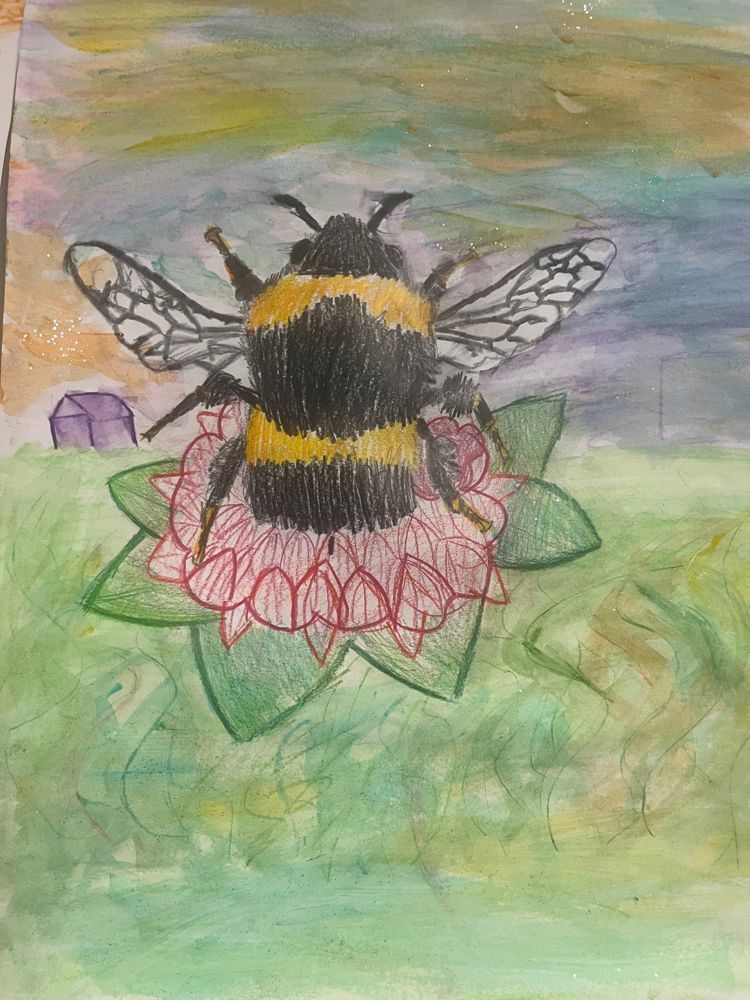 et fargerikt insekt på et blad