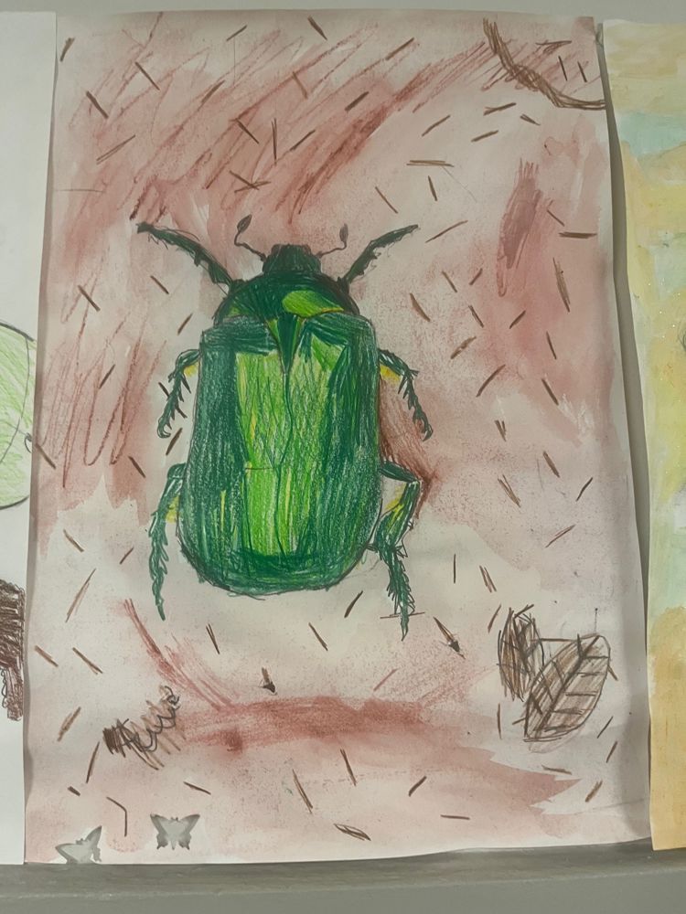 En tegning av et grønt insekt