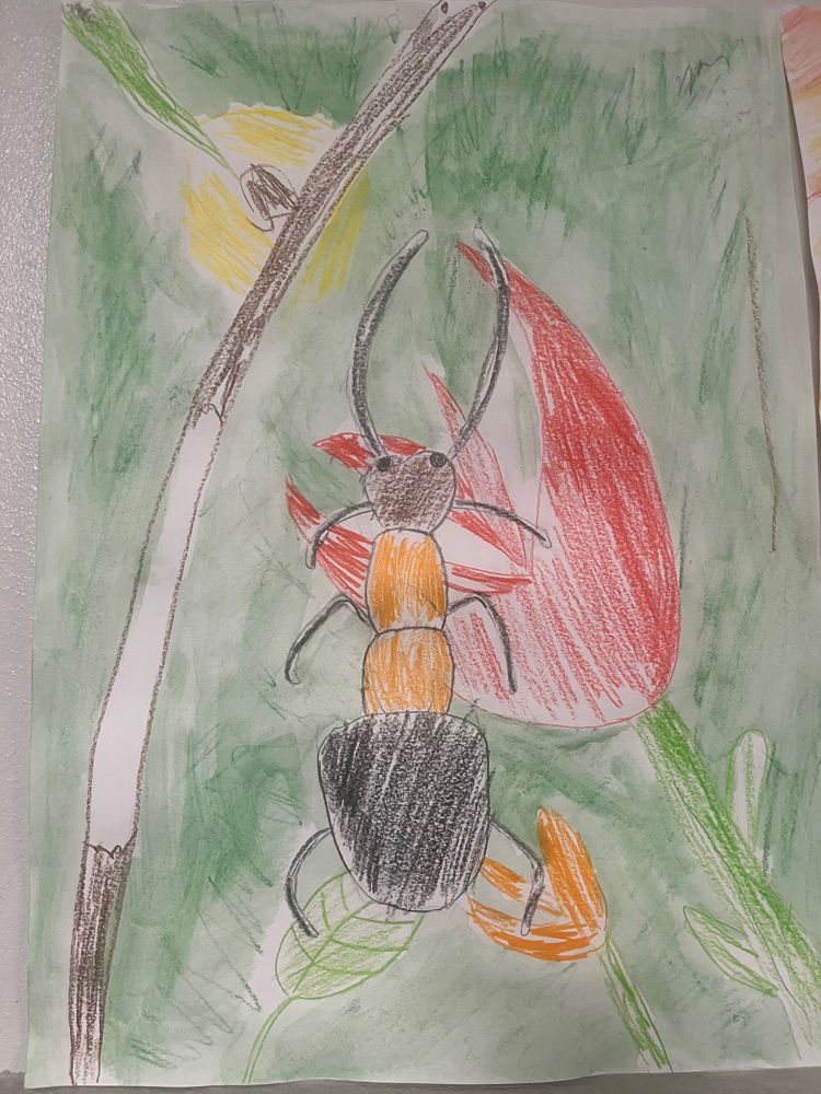En tegning av et insekt