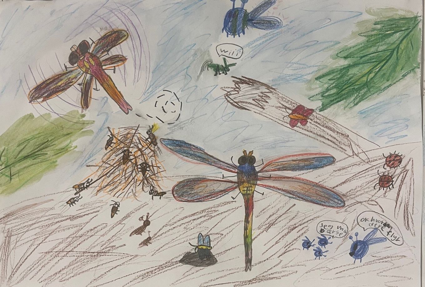 tegning av insekter