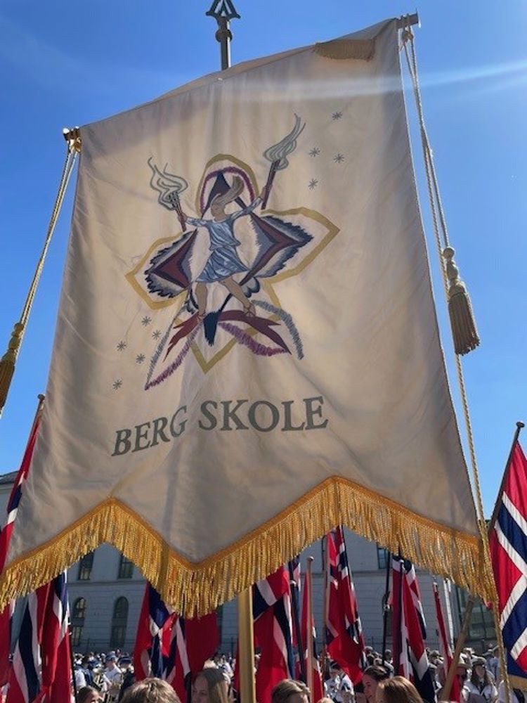 Skolens fane