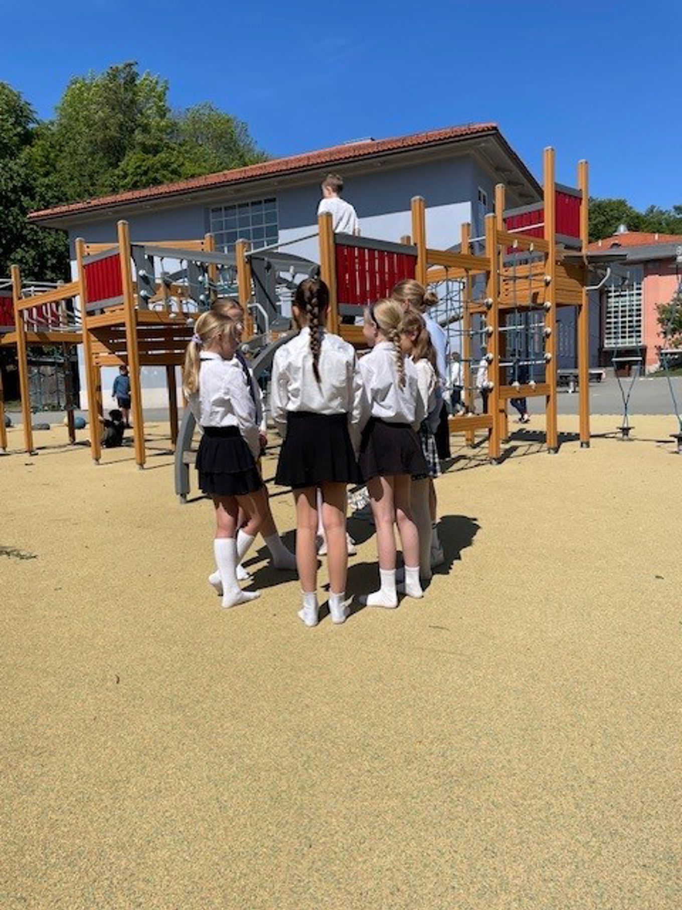 en gruppe barn som står på en lekeplass