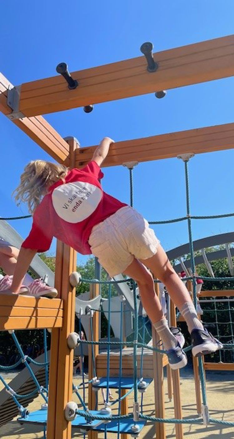 et barn som leker i et klatrestativ
