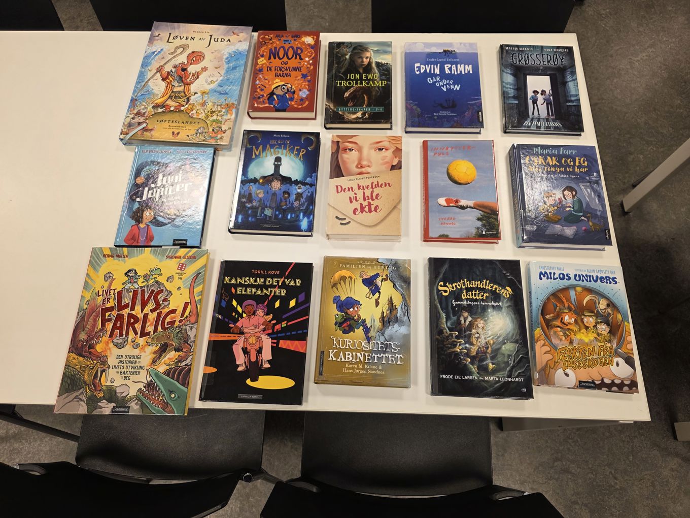 Foto: Camilla Schøyen En gruppe bøker på et bord