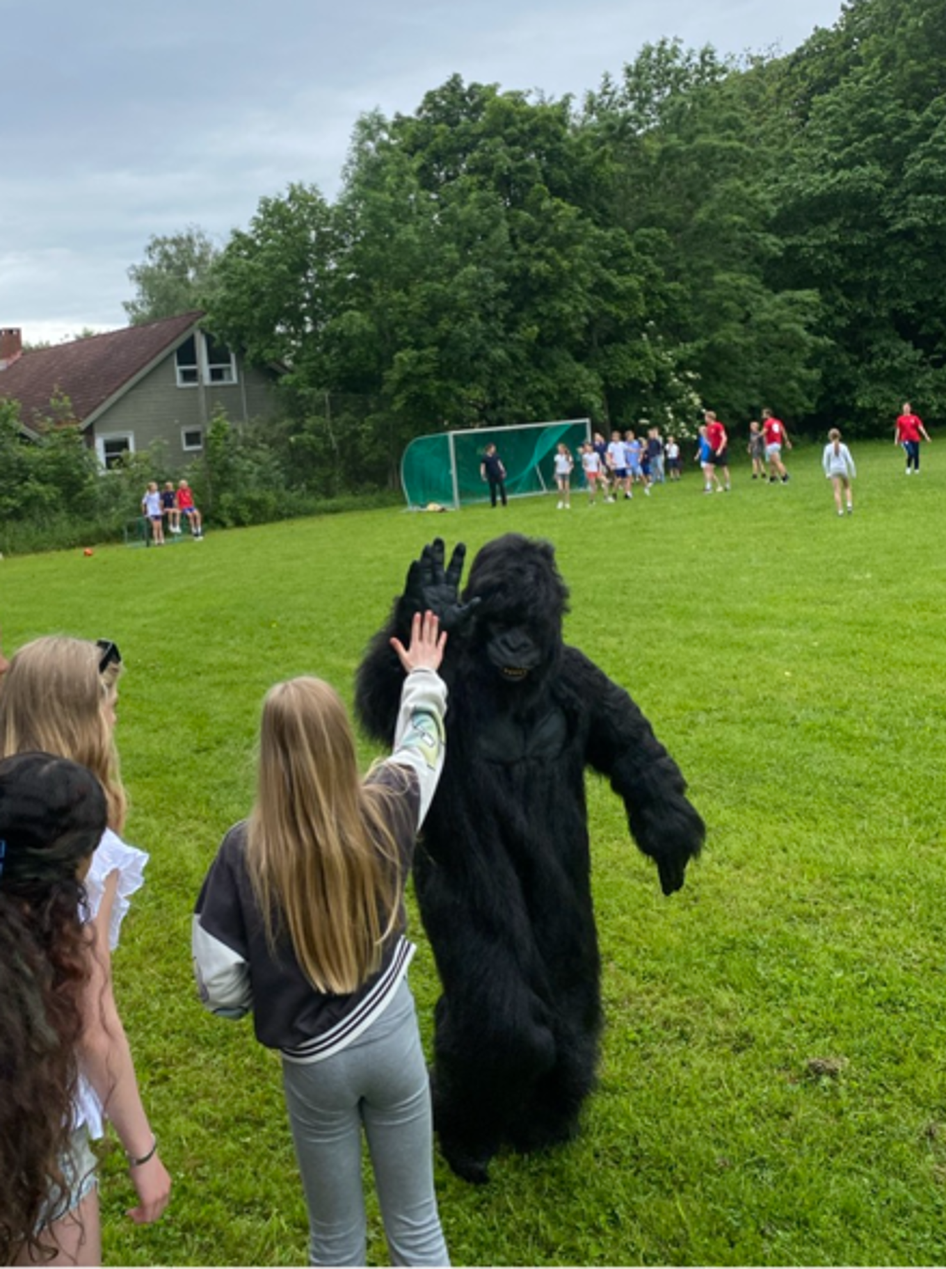 En person i gorilladrakt