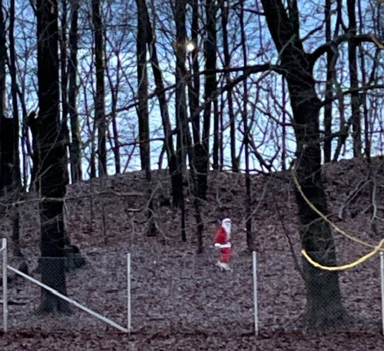 Nissesom løper i skogen 